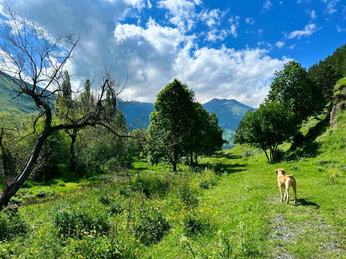 Vila Sno Woodland Exteriér fotografie