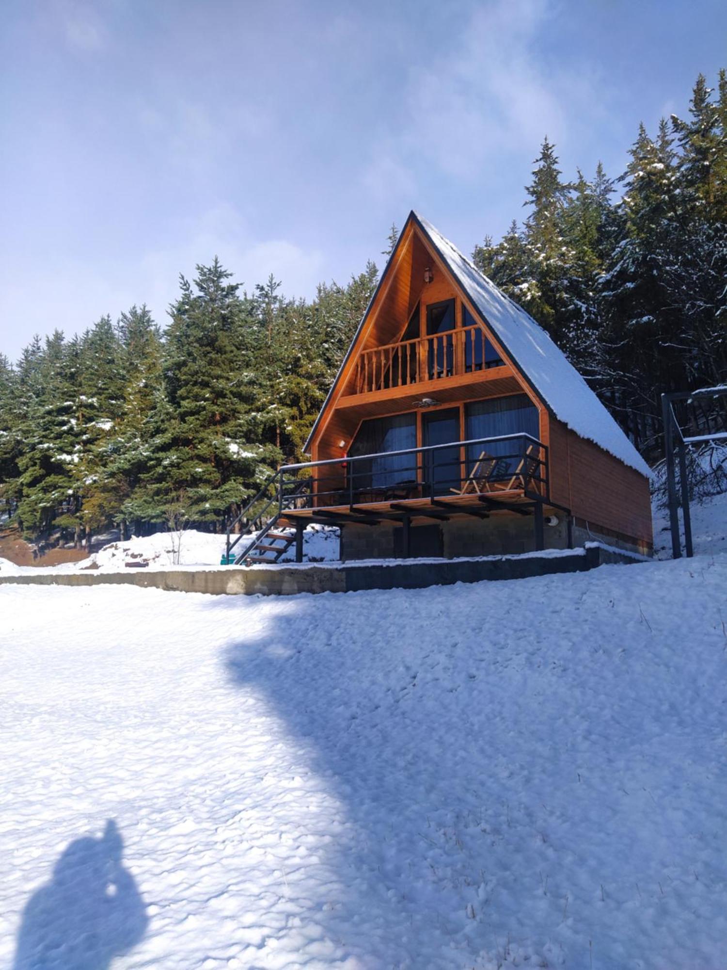 Vila Sno Woodland Exteriér fotografie