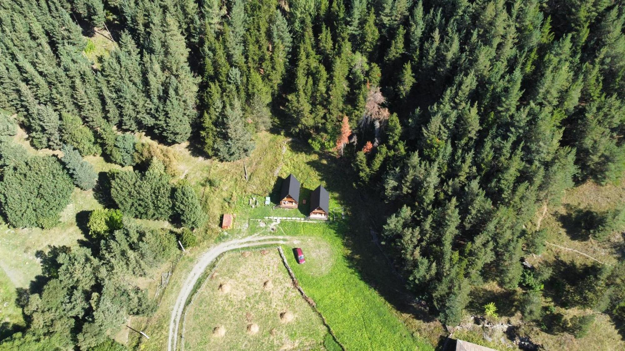 Vila Sno Woodland Exteriér fotografie