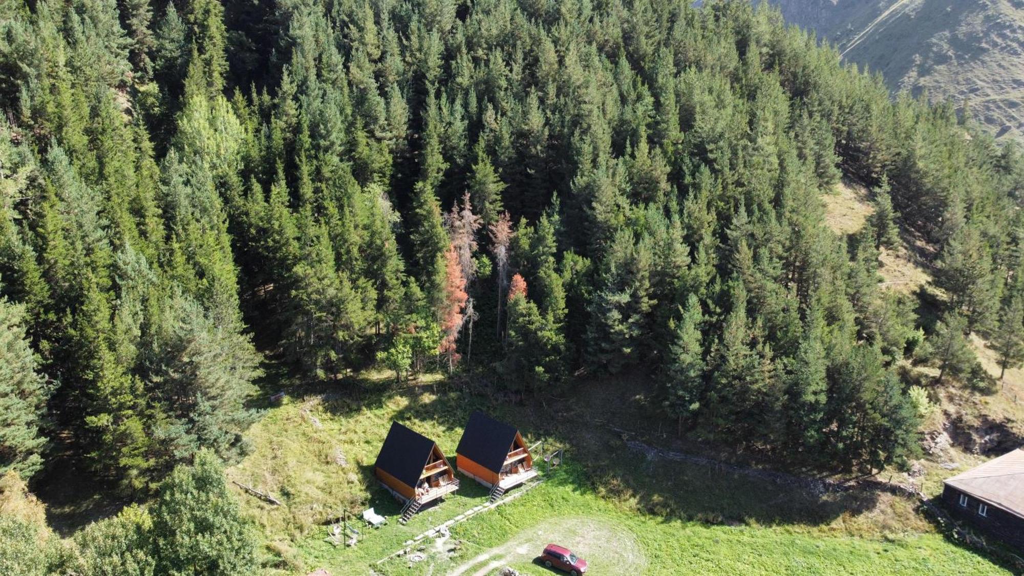 Vila Sno Woodland Exteriér fotografie