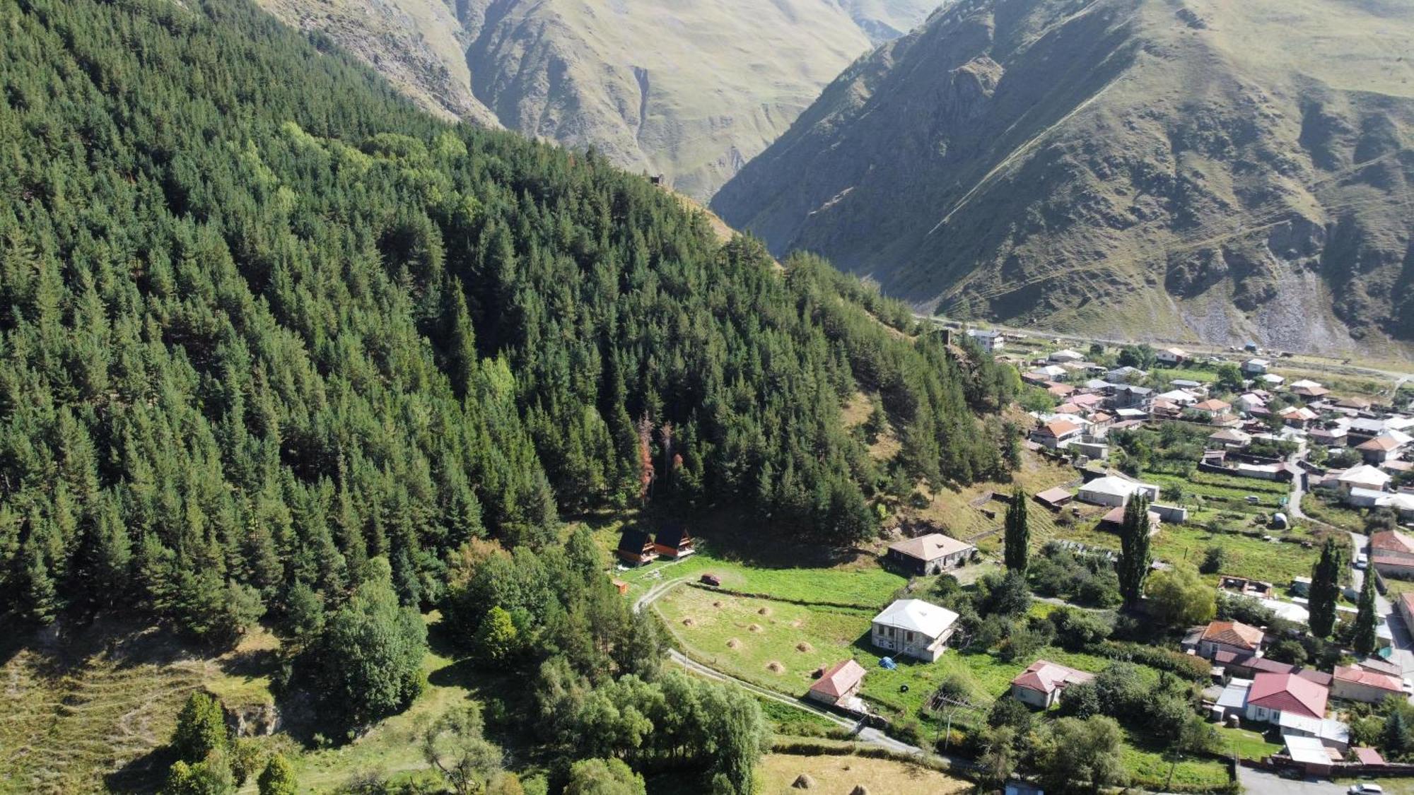Vila Sno Woodland Exteriér fotografie