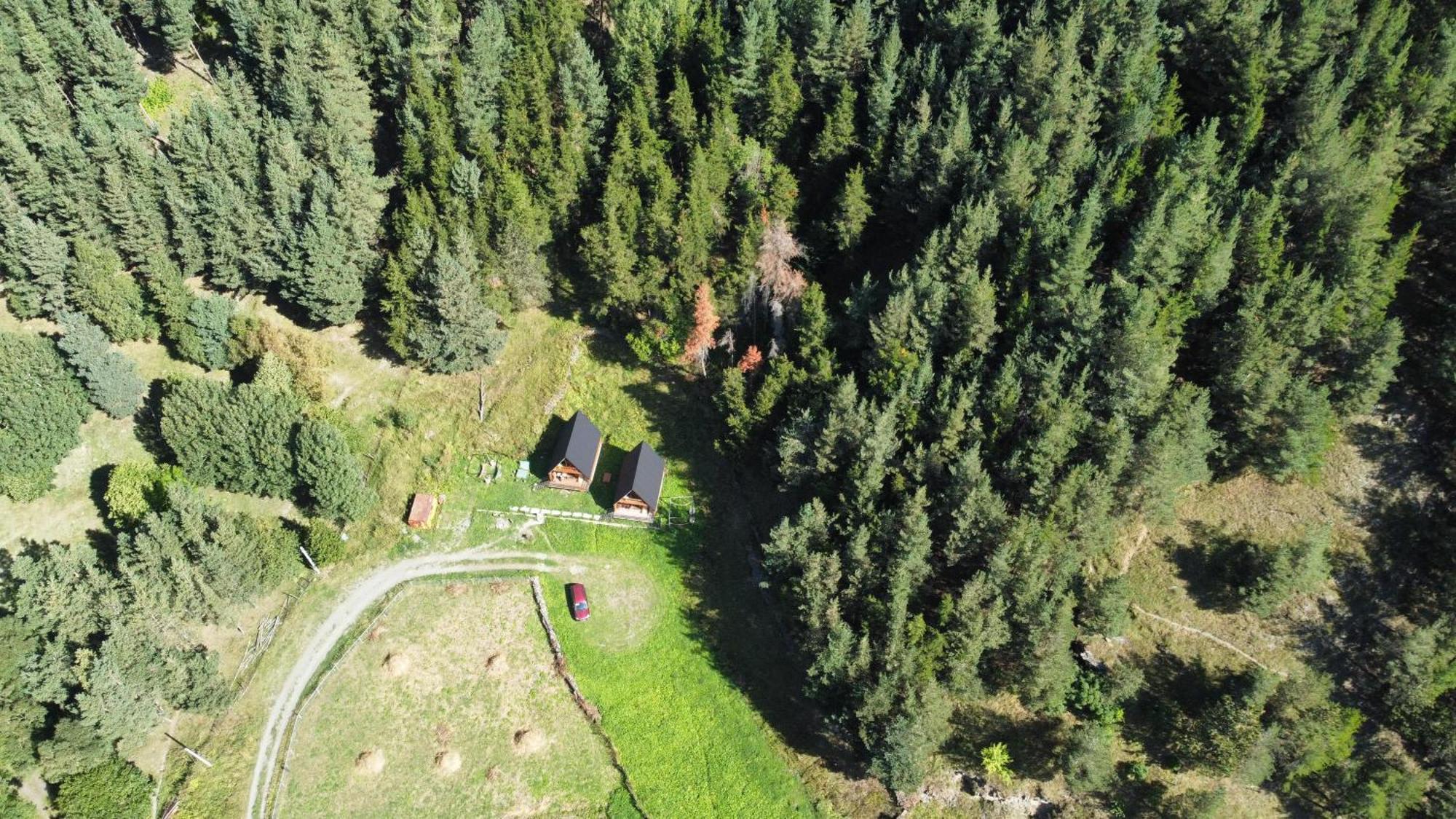 Vila Sno Woodland Exteriér fotografie